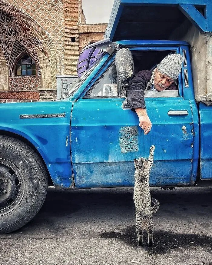 This Instagram Page Collects Hilarious And Wholesome Animal Photos, Here Are 40 Of The Best Ones
