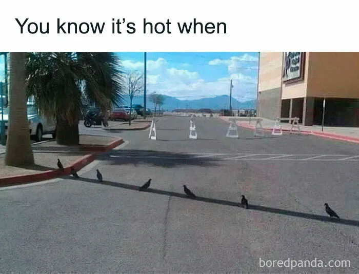 50 Red-Hot And Hilarious Summer Memes To Laugh At While You Pretend To Enjoy Being Outside