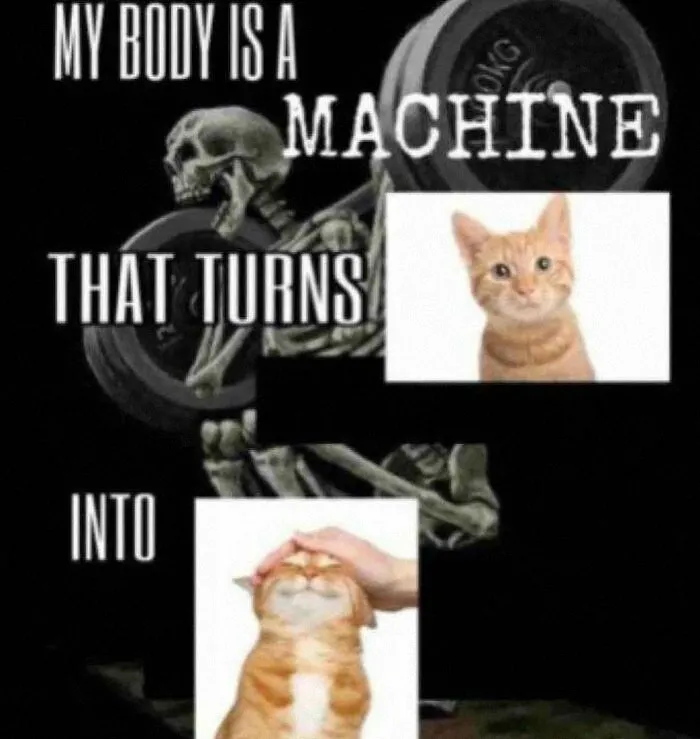 Skeleton lifting weights with text about a machine, combined with two images of an orange cat, nerdy weird memes.