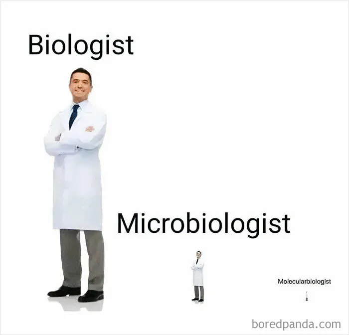 50 Funny Memes That Explain Science Better Than Textbooks