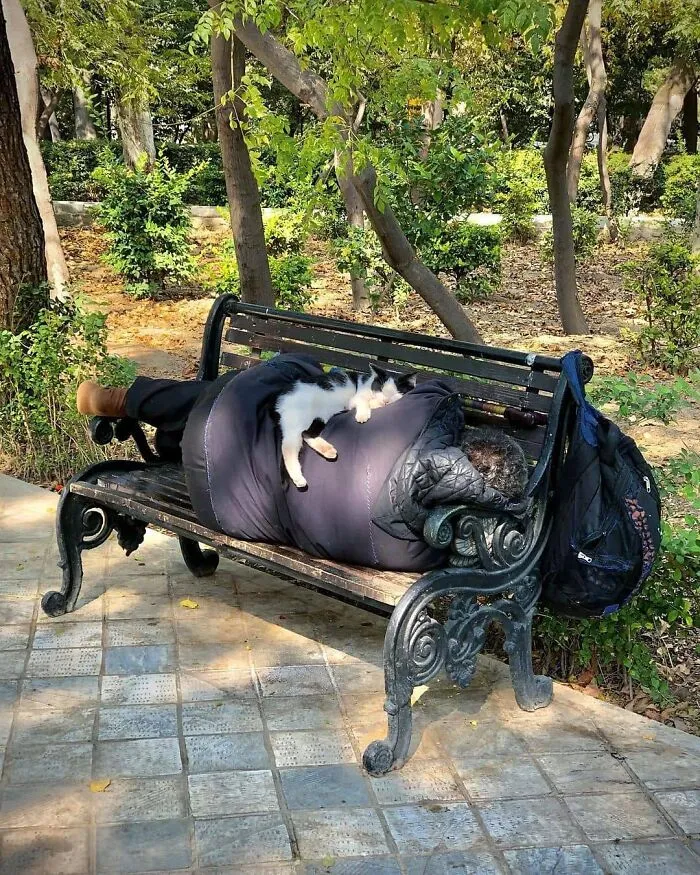 This Instagram Page Collects Hilarious And Wholesome Animal Photos, Here Are 40 Of The Best Ones