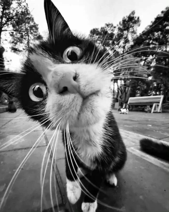 This Instagram Page Collects Hilarious And Wholesome Animal Photos, Here Are 40 Of The Best Ones