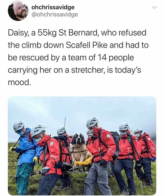 The British Have A Uniquely Funny Sense Of Humor And These 50 Memes Prove It
