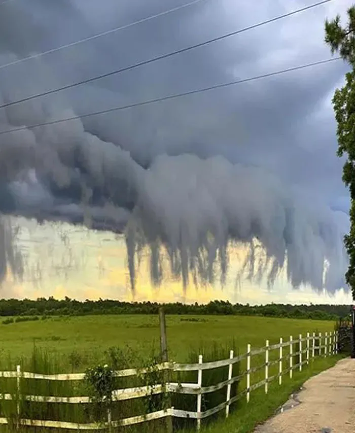Estas nubes de aspecto espeluznante se llaman nubes pannus