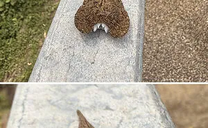 50 Pics That Show Mother Nature Being Terrifying As Hell (New Pics)