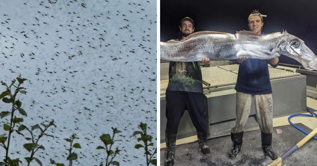 30 Creaciones de la madre naturaleza que nos han dado mucho miedo