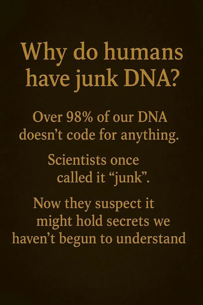 Text about why humans have junk DNA, highlighting scientists' ongoing questions and mysteries in DNA research.