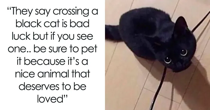 50 Tumblr Posts That Won The Internet And Deserve To Stay On It Forever