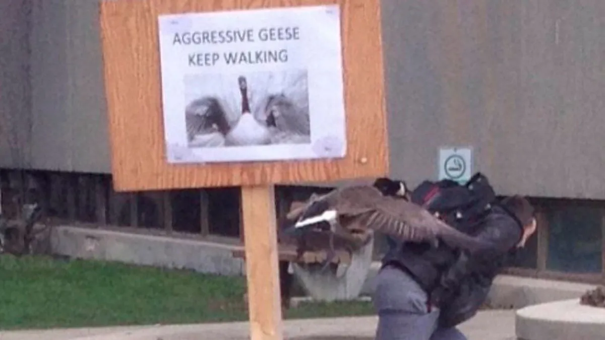 50 Random Photos For Those With A Unique Sense Of Humor (New Pics)