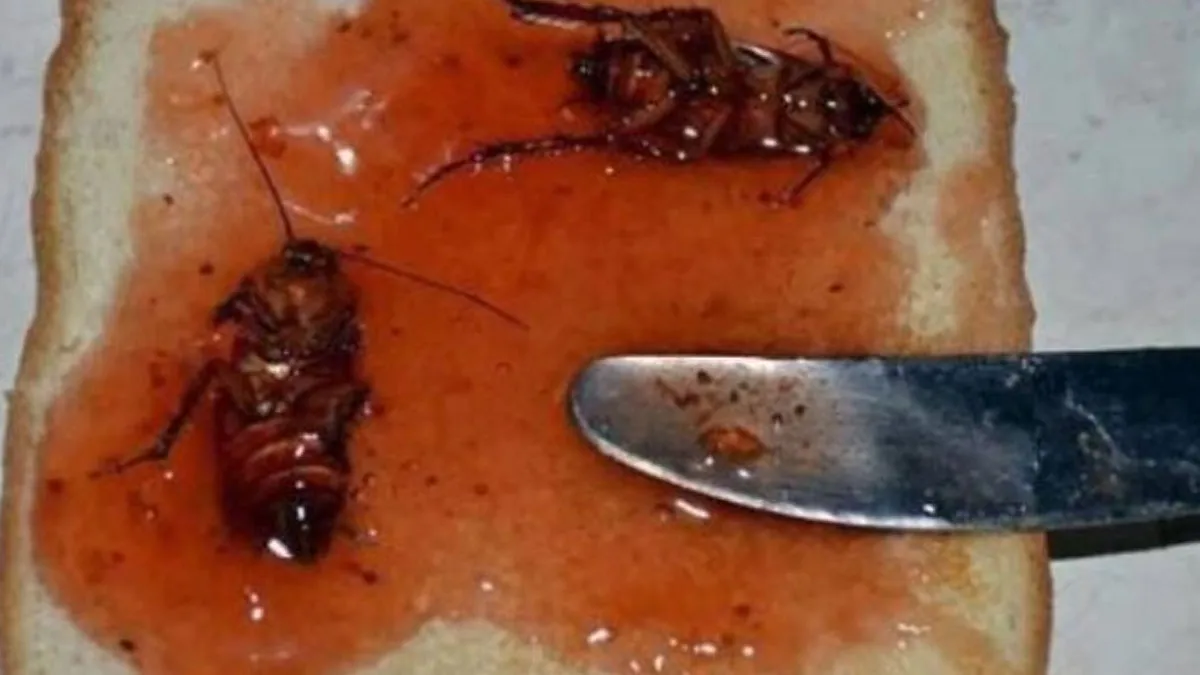 50 Cursed Pictures Of Food That Might Make You Go “Eeeeeuw!” (New Pics)