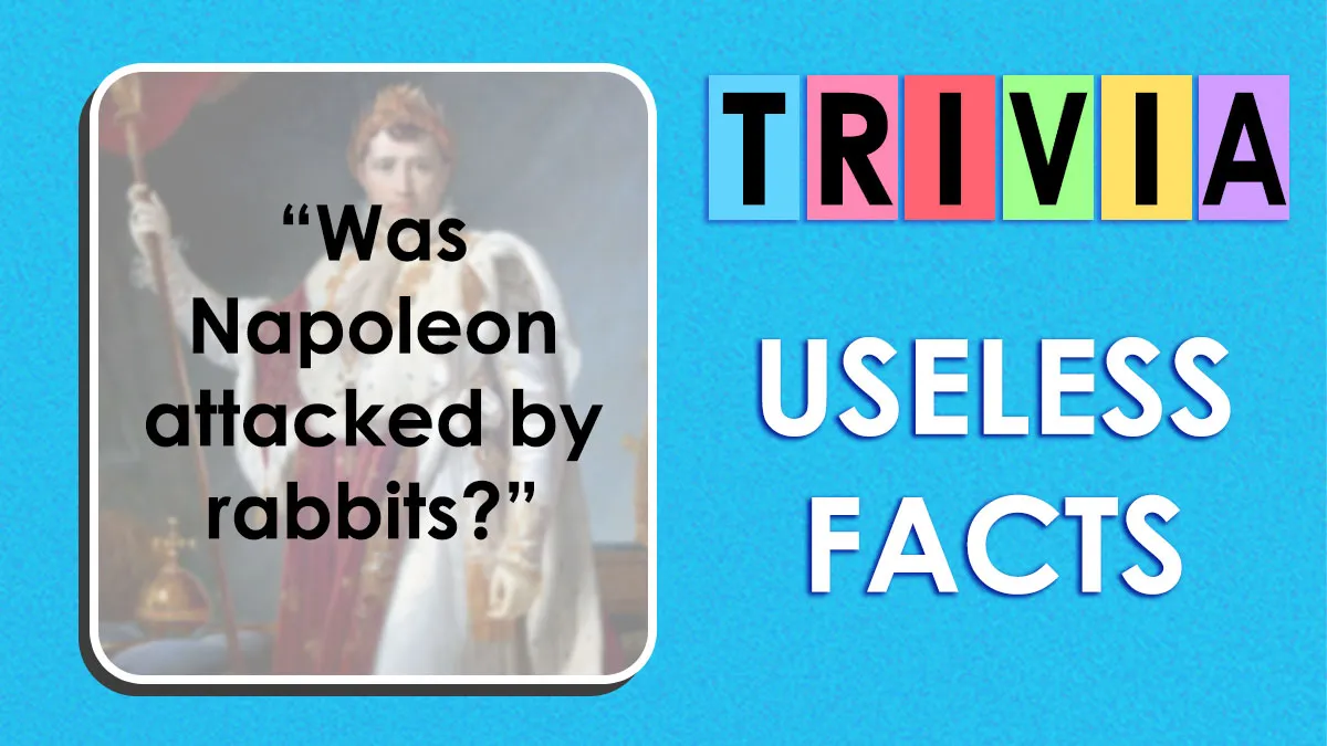 Prove You’re The Reigning Champion Of Pointless Knowledge With This 25-Question Useless Fact Quiz
