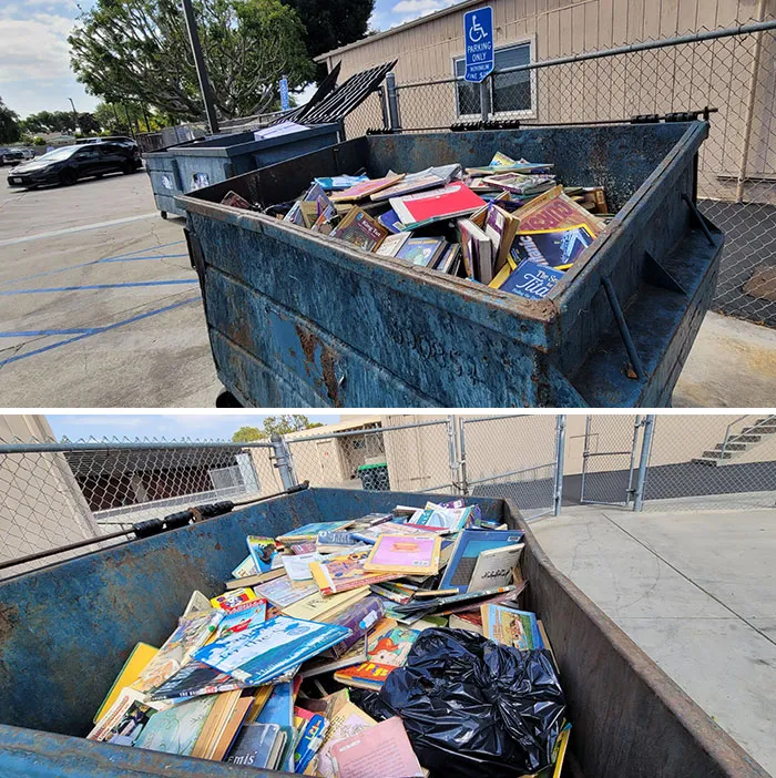 Perfectly Good Books Thrown In Trash