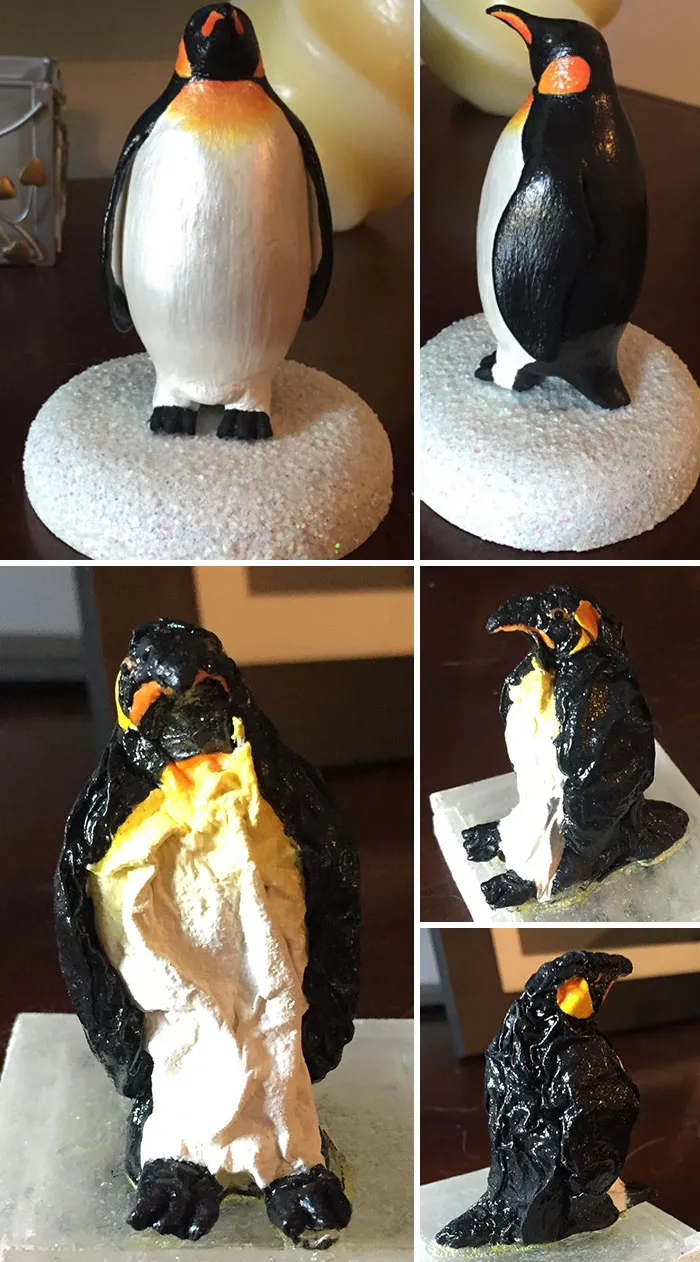 I Let My Son’s Teacher Borrow The Penguin Sculpture I Made And She Left It In A Windowsill For 6 Months
