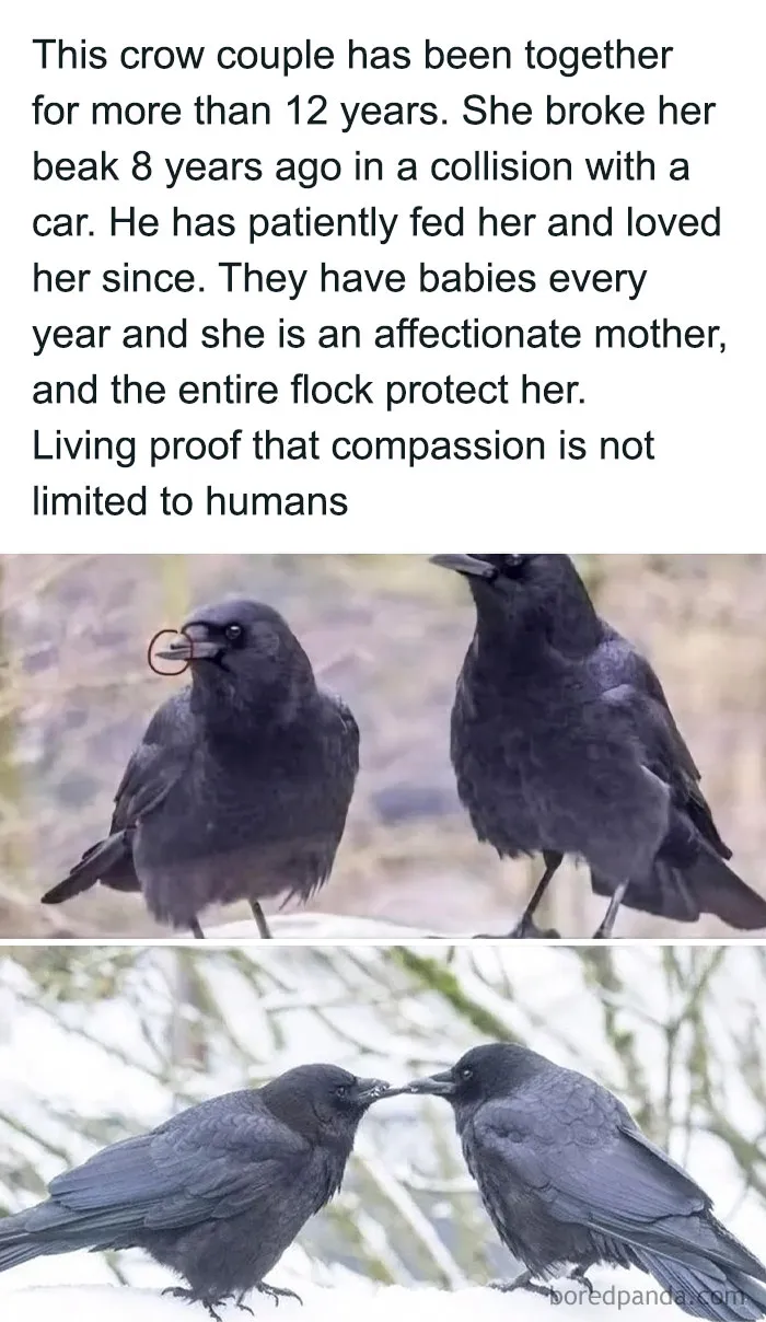 50 Wholesome Pics Full Of ‘Very Important Positivity’ That Everyone Needs To See (New Pics)