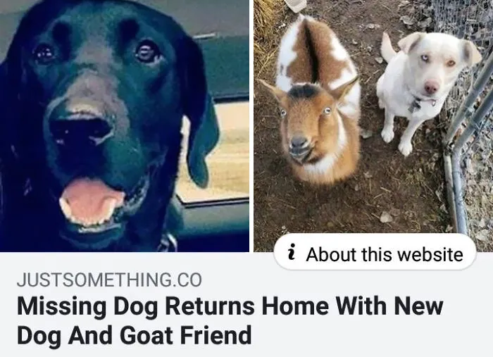 Blessed Buddies