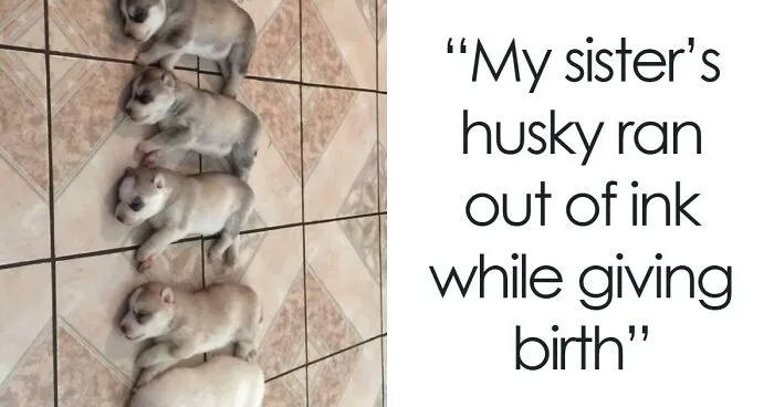 “Grandma Is Taking Over”: 50 Wholesome Posts To Distract You From The Current Horrors Of The World
