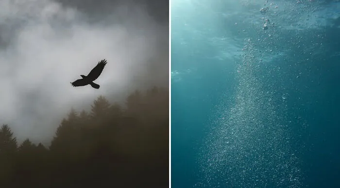 Be able to fly or to breathe underwater?