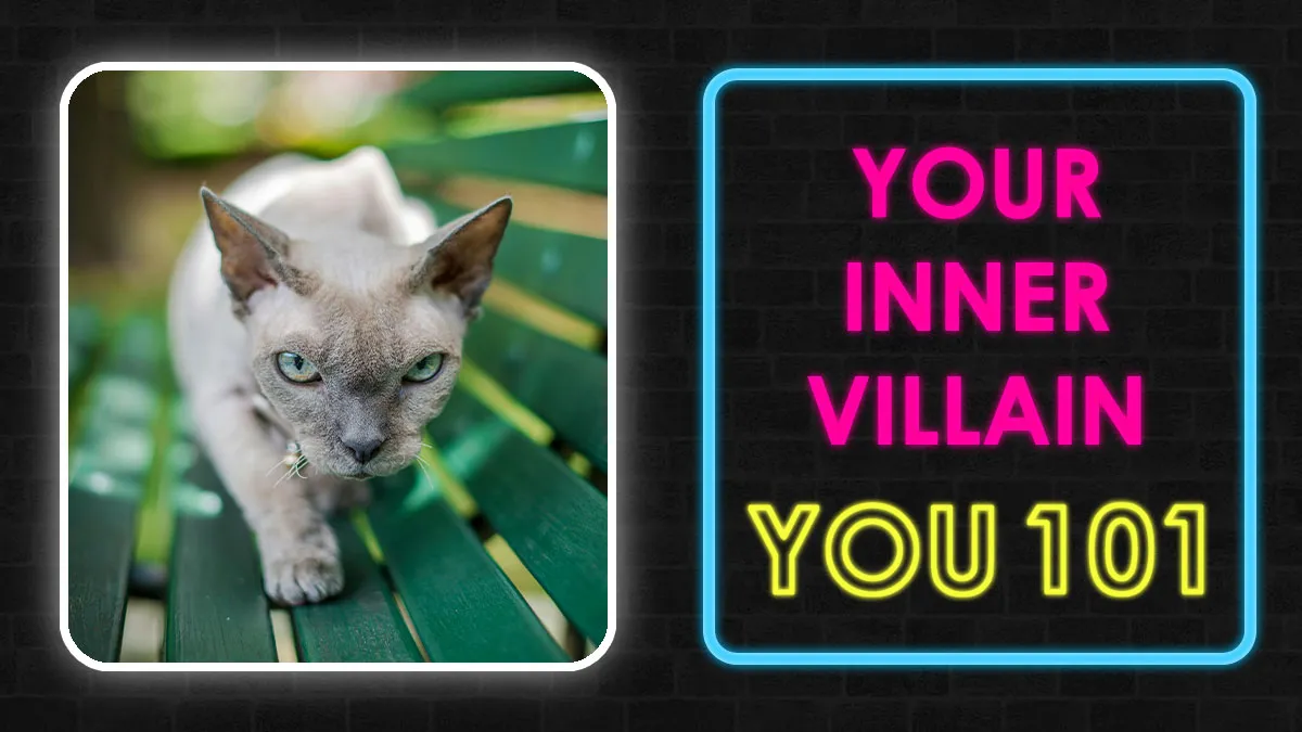 “How Evil Are You?”: 27 Questions To Explore Your Inner Villain Energy Level