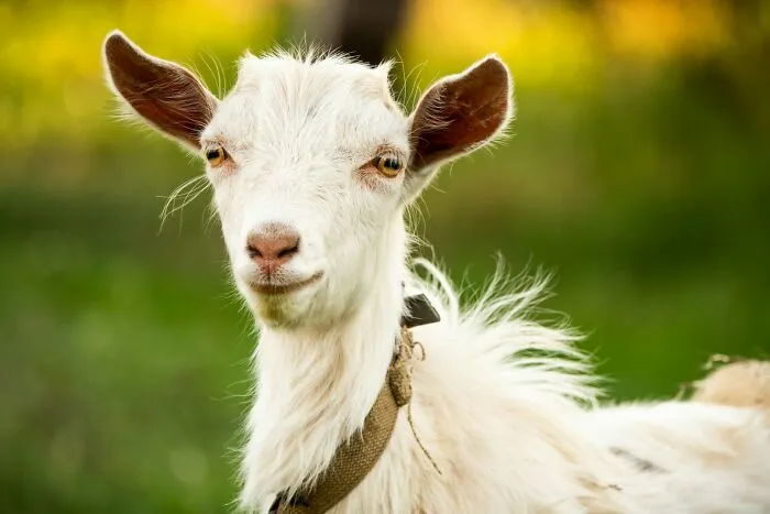 "Hair. I Know It's Insane": 50 Weird And Confusing Phobias