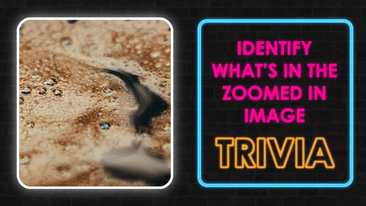 These 25 Zoomed-In Images Test Will Reveal How Sharp Your Observation Skills Really Are