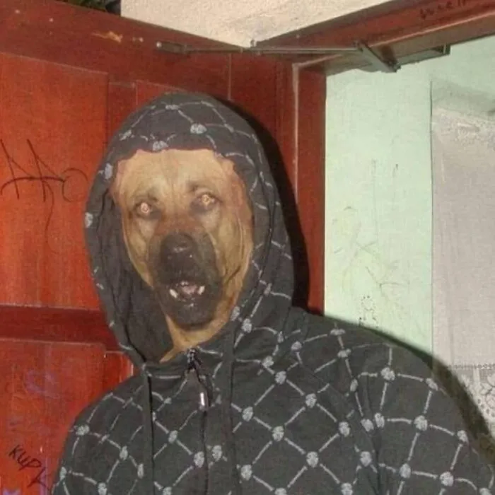40 Mildly Disturbing Images That Must Be Cursed