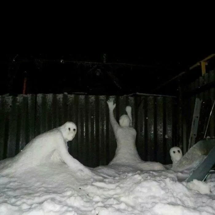 40 Mildly Disturbing Images That Must Be Cursed