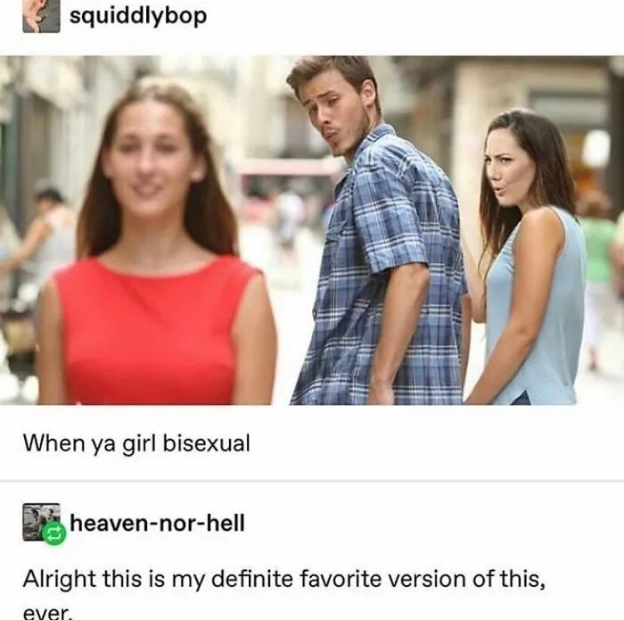 50 Queer Memes That Won’t Make You Gay But May Make You Laugh