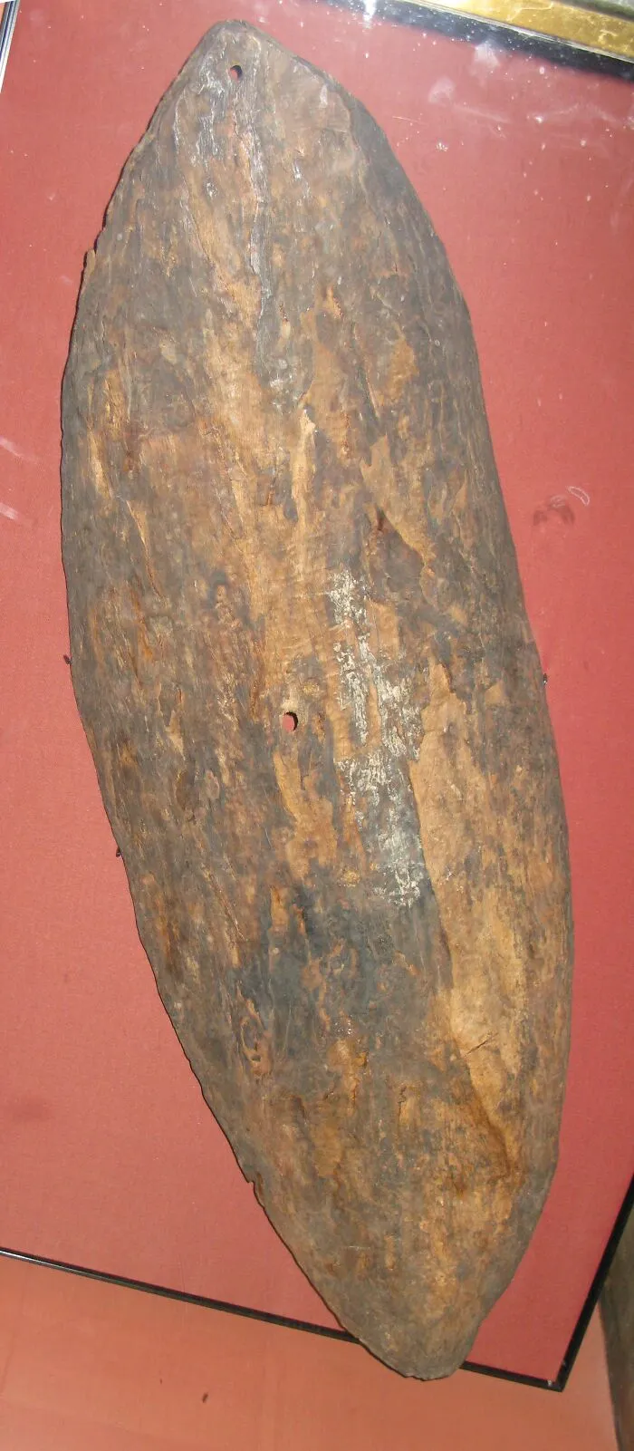 The Early Shield From New South Wales, Australia