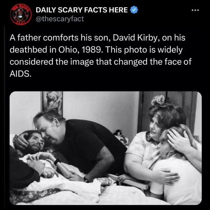 “This Scary Fact”: 50 Facts To Scroll Through In The Darkness