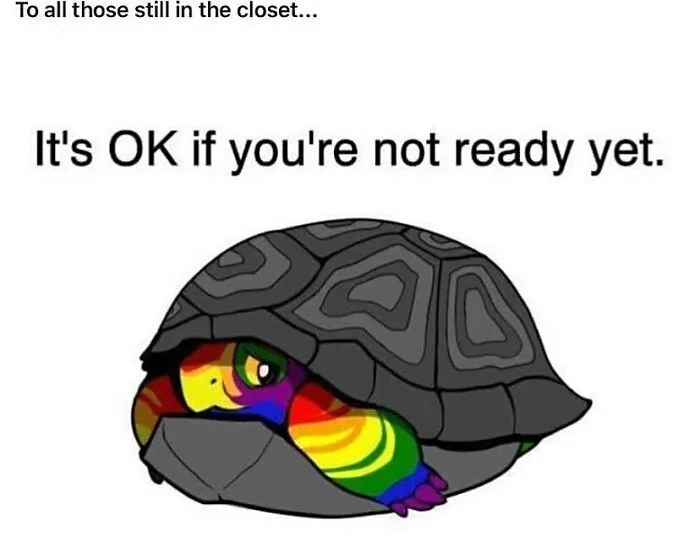 50 Queer Memes That Won’t Make You Gay But May Make You Laugh