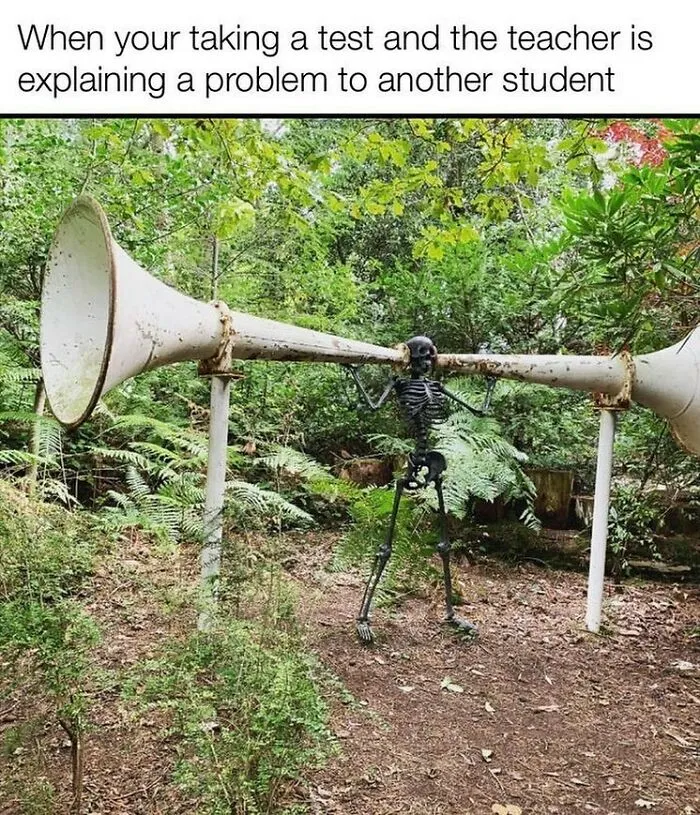 Skeleton standing between two large horns in a forest, representing a funny and random meme about taking a test and distractions.