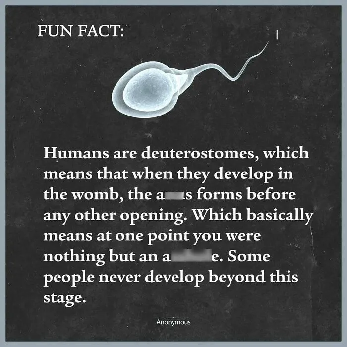 50 Hilarious Medical Memes You Don’t Need To Be A Doctor To Understand