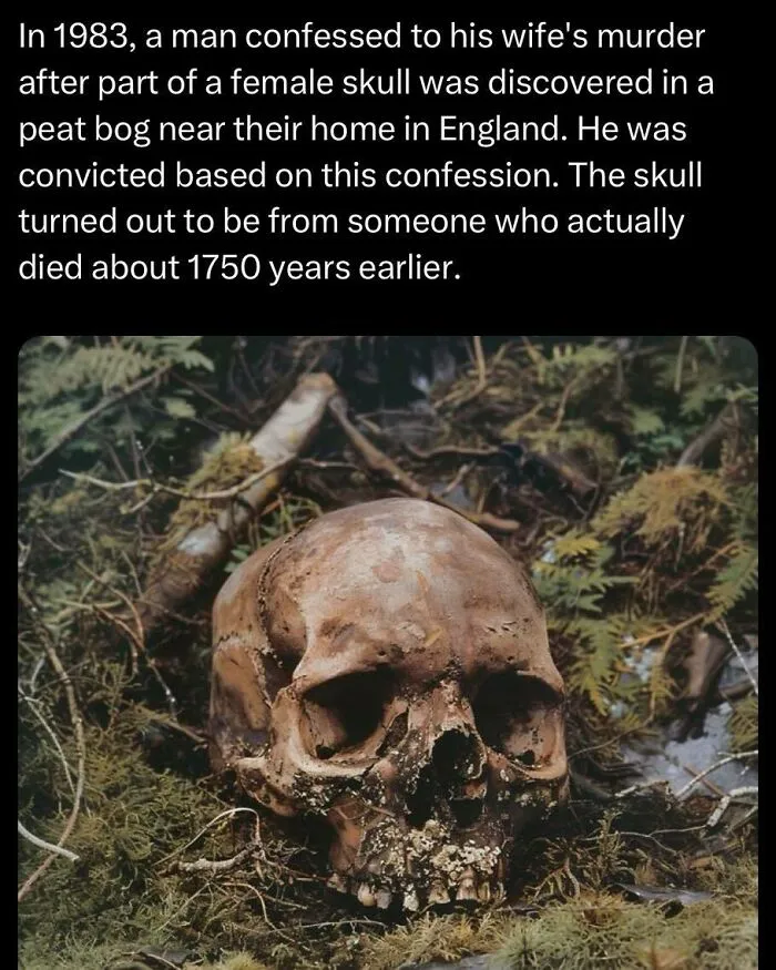 Female skull discovered in a peat bog near England linked to a wrongful murder confession in 1983.