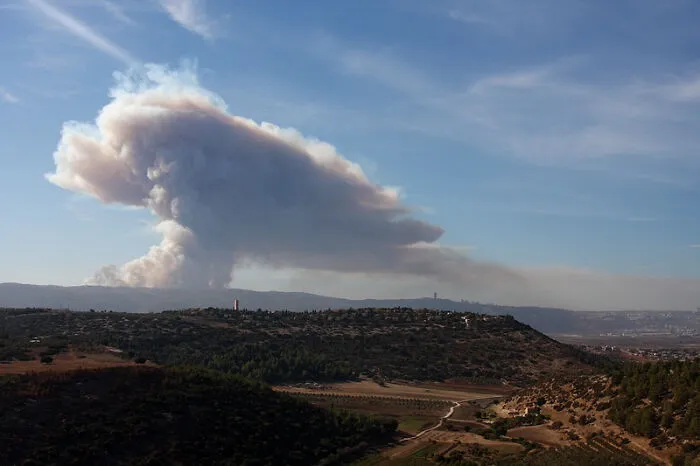 The 2010 Mount Carmel Forest Fire