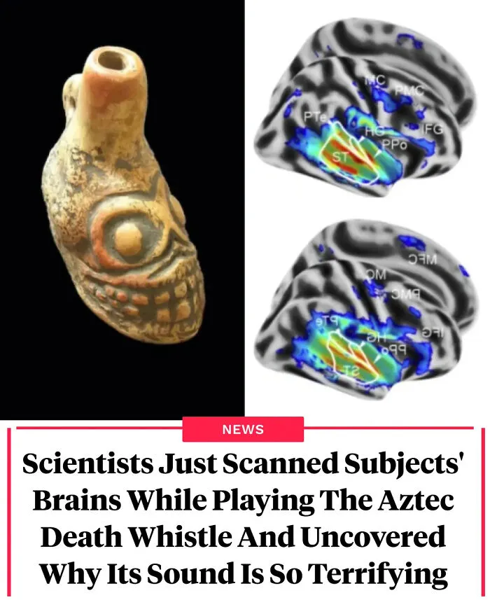 50 Interesting Facts That Might Surprise Even The Most Knowledgeable (New Pics)