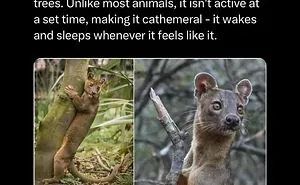 “This Scary Fact”: 50 Facts To Scroll Through In The Darkness