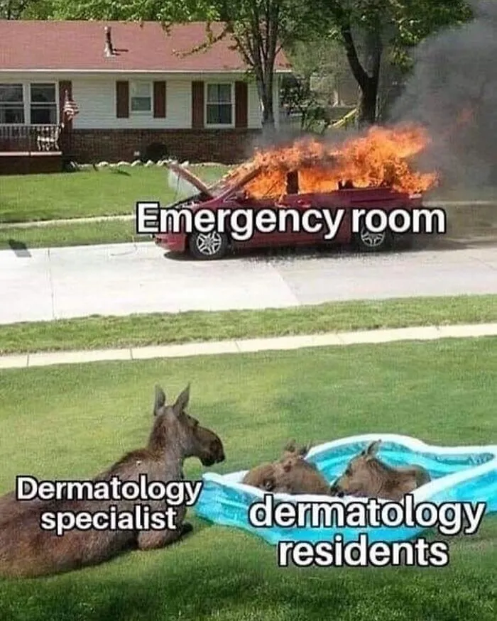Burning car labeled Emergency room, with a moose labeled Dermatology specialist watching moose calves in a pool labeled dermatology residents.