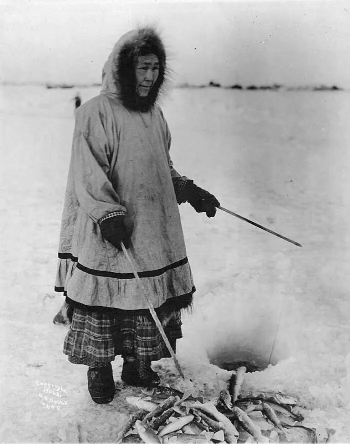 Inuit Woman Ice Fishing With Poles And A Pile Of Fish, Alaska, 1906