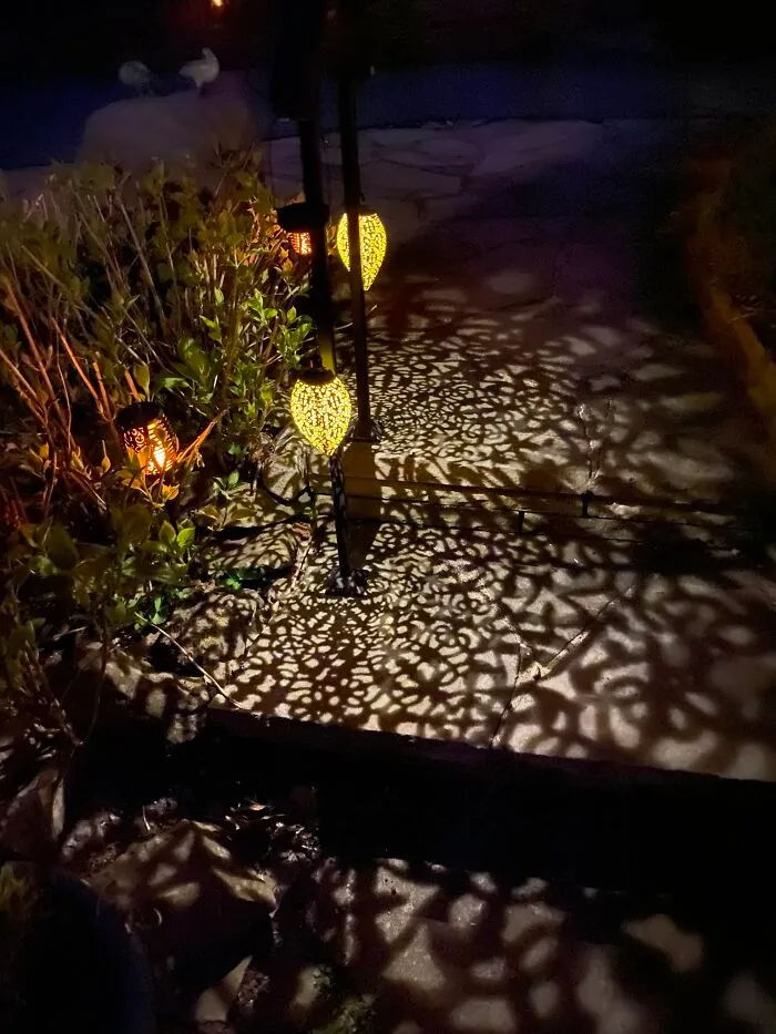 My Garden At Night