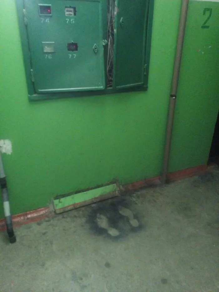 40 Mildly Disturbing Images That Must Be Cursed