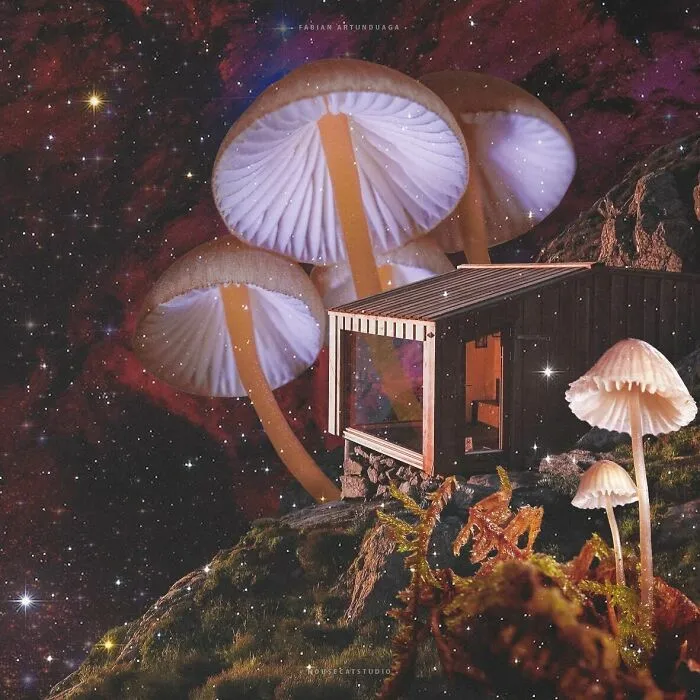 I Turned Random Thoughts Into Surreal Edits And Somehow Ended Up With These 35 Images