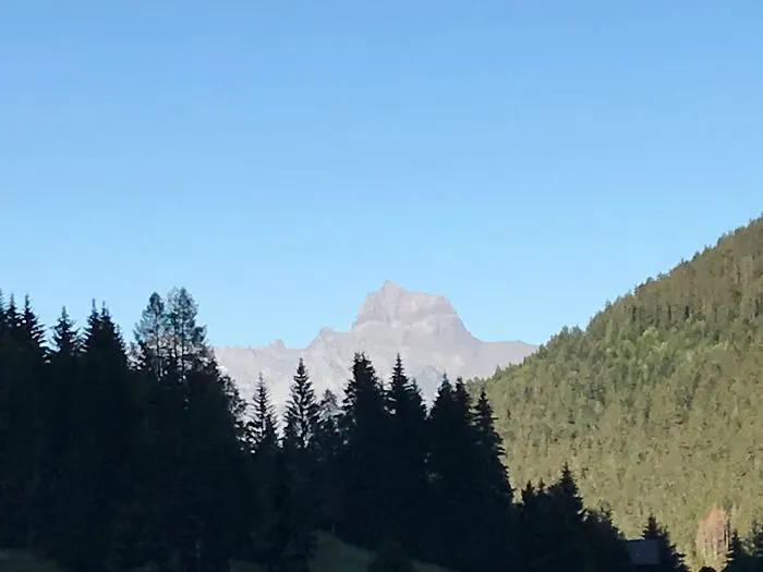 View From My Window