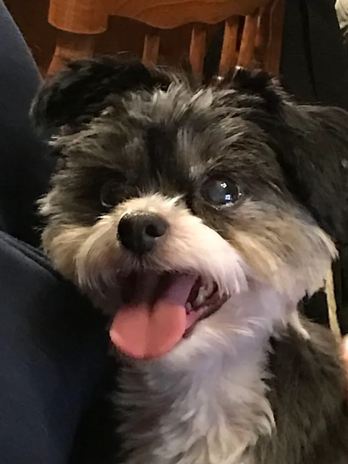 Mandy, My Heart, Rip