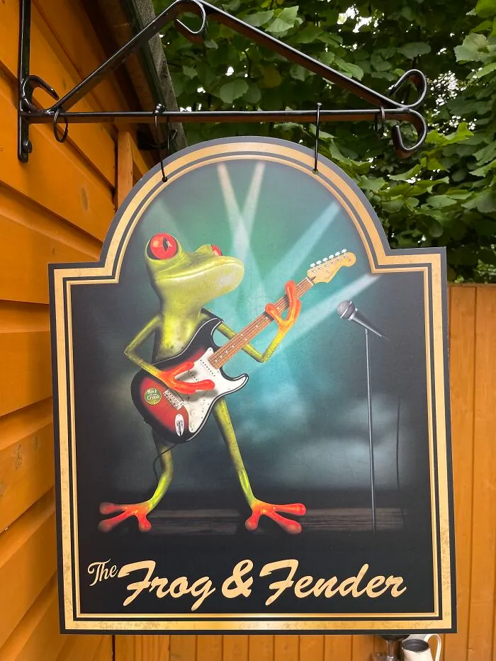 Frog On Stage Playing His Fender