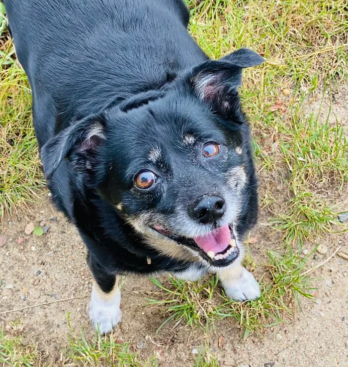 Meet Milka My 13yo Soulmate