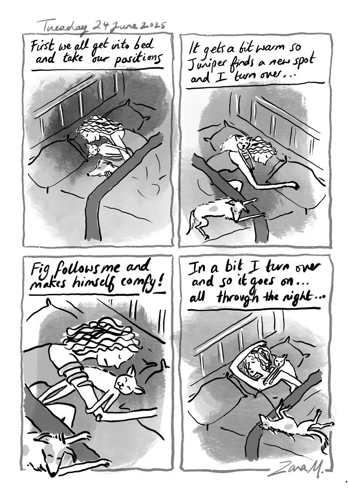 Bedtime Routine