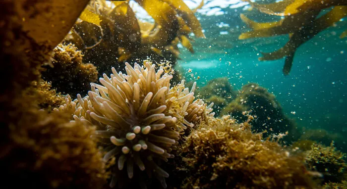I Photograph Nature In Macro, Here's 17 Of The Best Photos