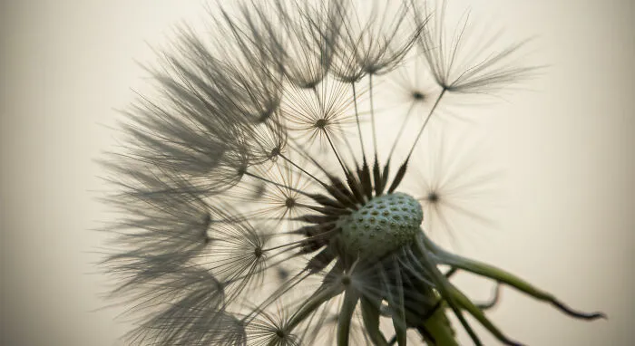 I Photograph Nature In Macro, Here's 17 Of The Best Photos