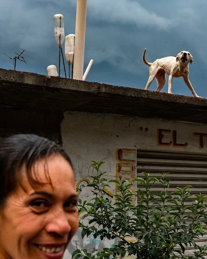 This Photographer Captured 50 Honest Street Moments That Show The Beauty Of Everyday Life