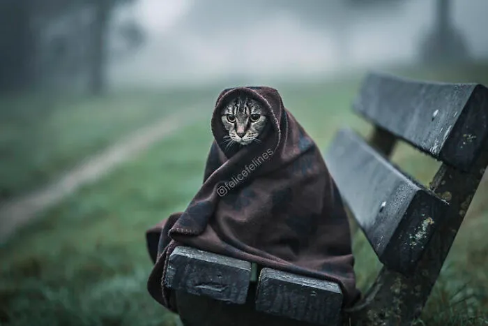 50 Of The Funniest Animal Photos Shared By Our Community